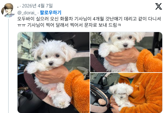 물건실으러온-화물차-기사님-옆구리에-있던-4개월-강아지-3-이미지