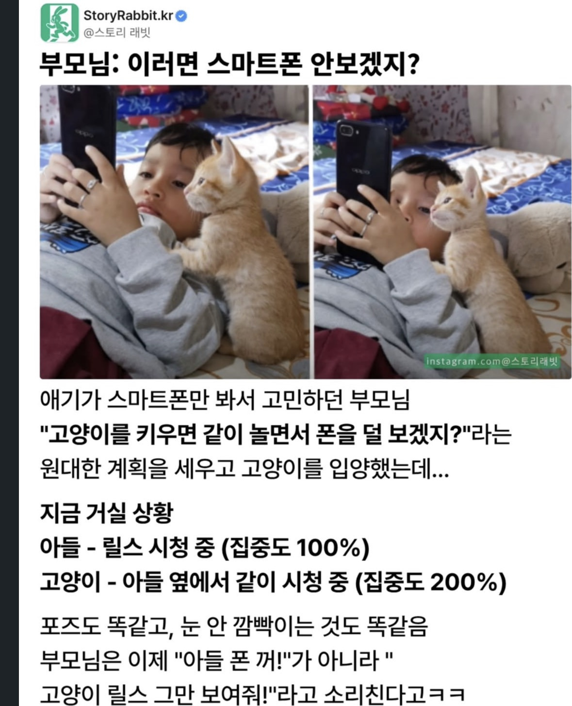 ??:이러면-폰-안-보겠지?-1-이미지