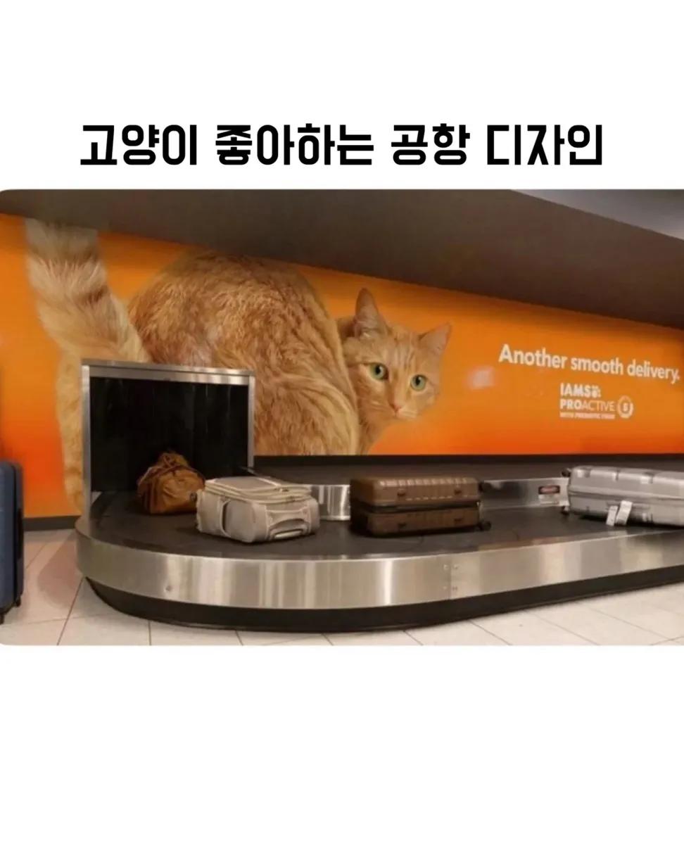 집사가-좋아하는-공항-디자인-0-이미지