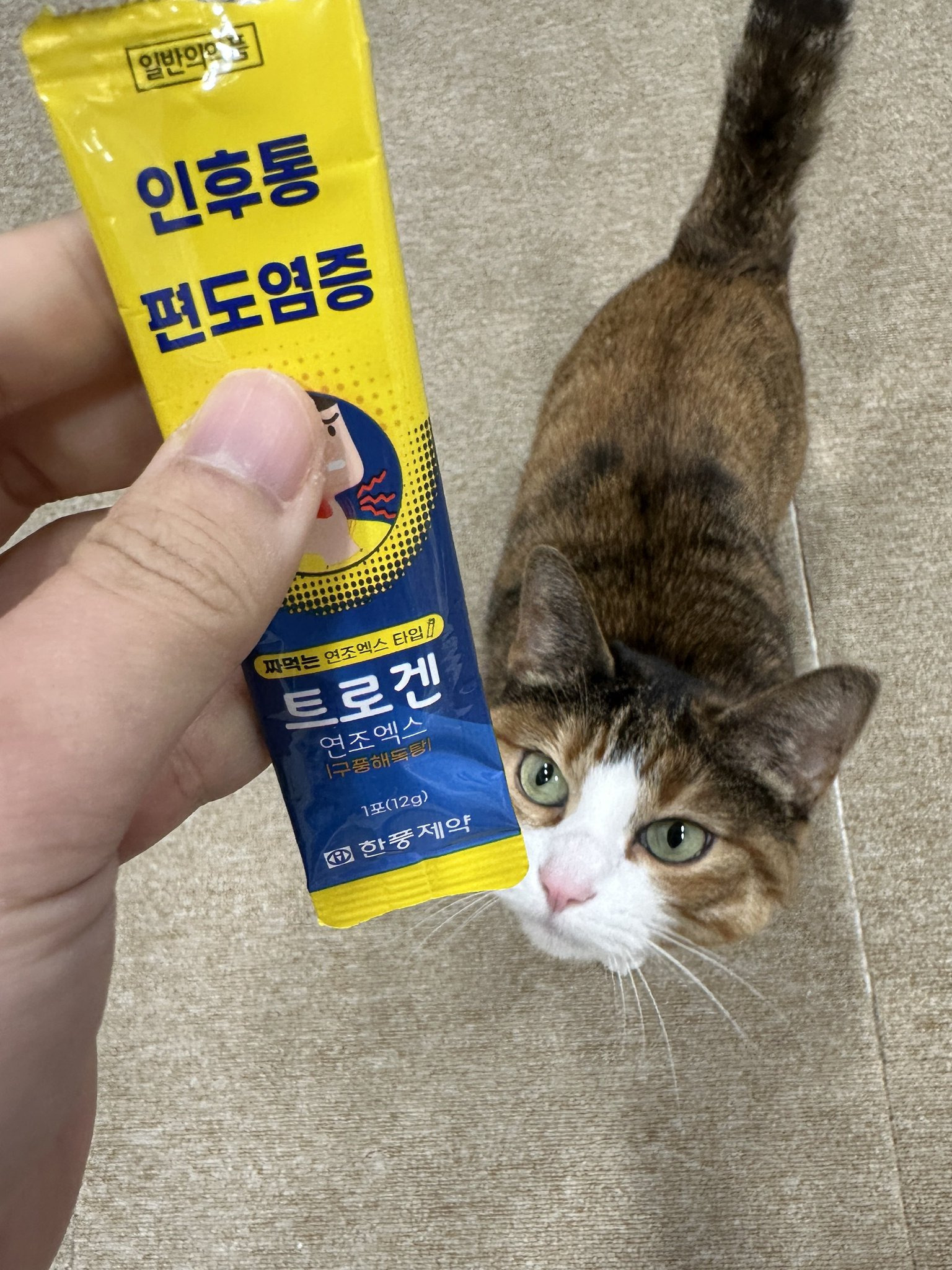 아냐-이건-내-거야.jpg-3-이미지