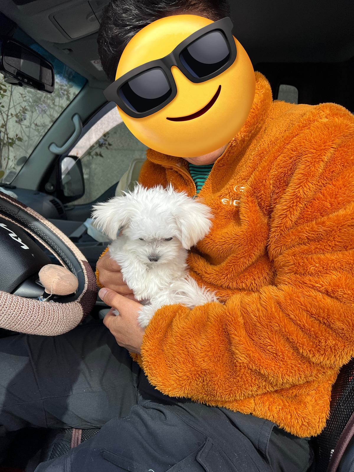 물건실으러온-화물차-기사님-옆구리에-있던-4개월-강아지-2-이미지