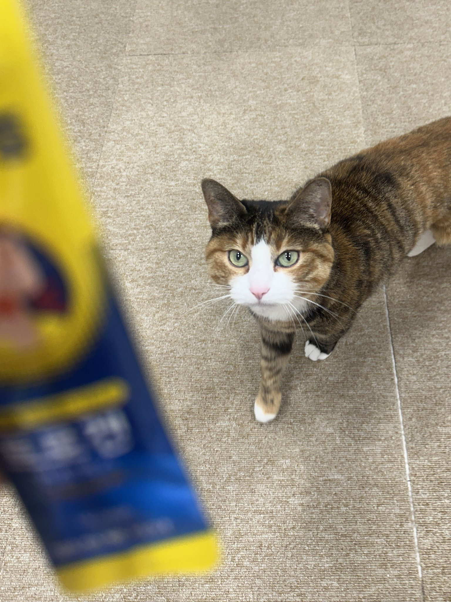 아냐-이건-내-거야.jpg-1-이미지