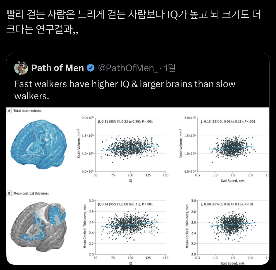 빨리-걷는-사람이-느리게-걷는-사람보다-IQ가-0-이미지