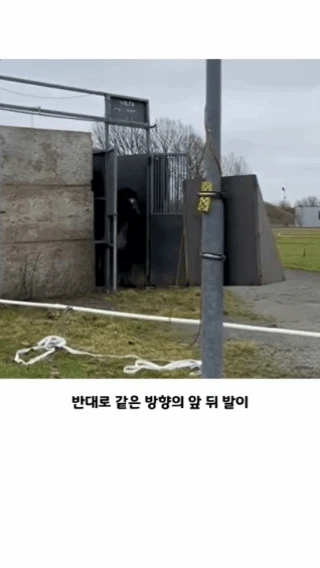 보법이-다른-고인물-말-.webp-1-이미지