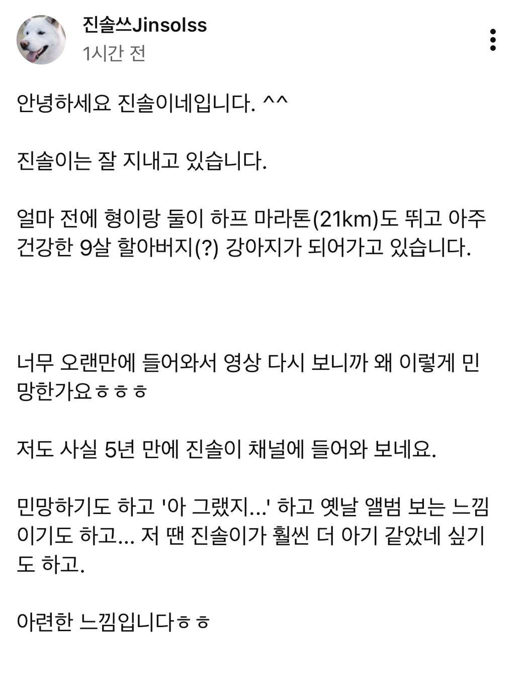 5년만에-근황-업데이트된-강아지-유튜브-진솔쓰-4-이미지