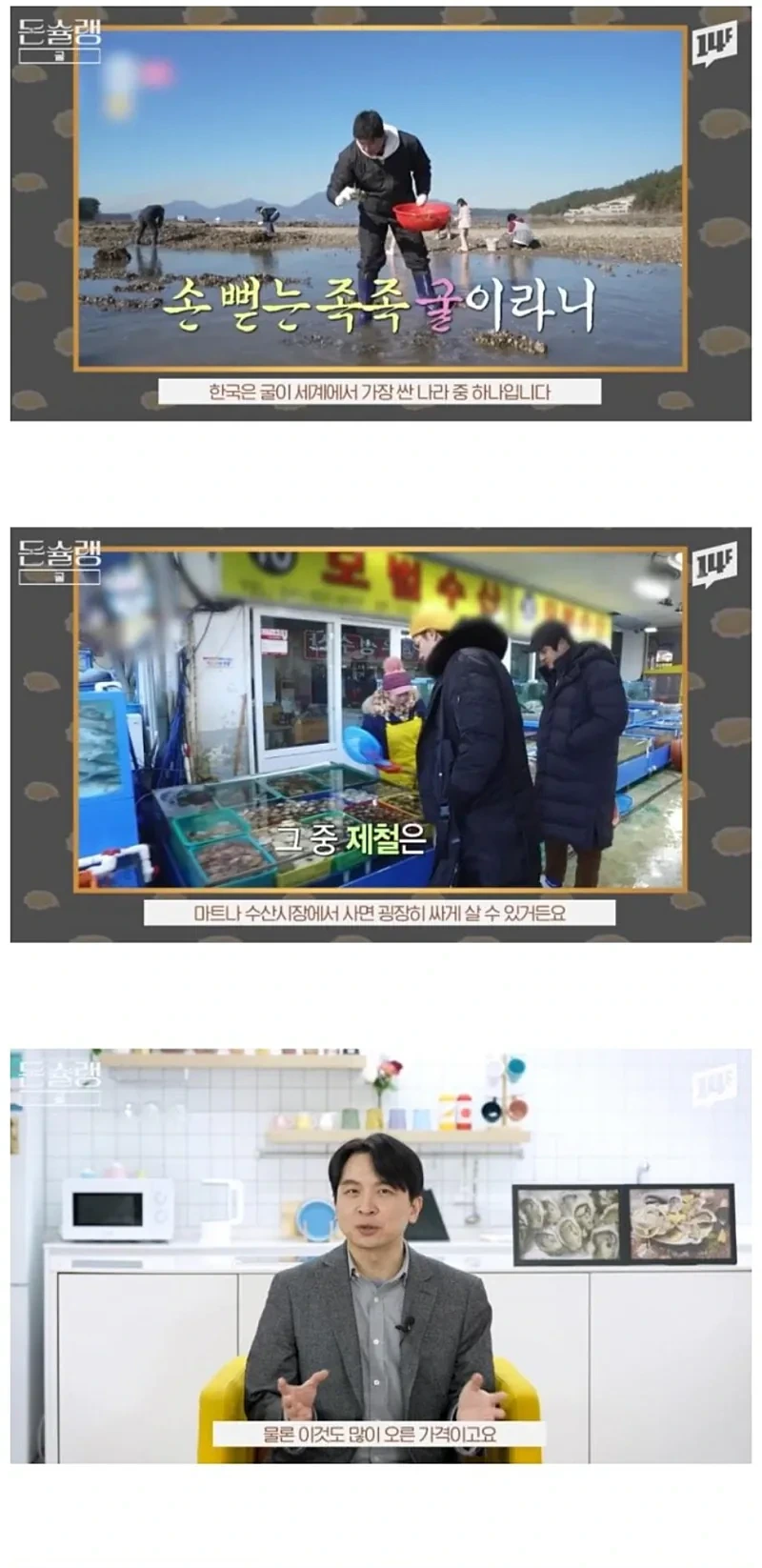 서양에서-굴-값이-비싼-진짜-이유-0-이미지