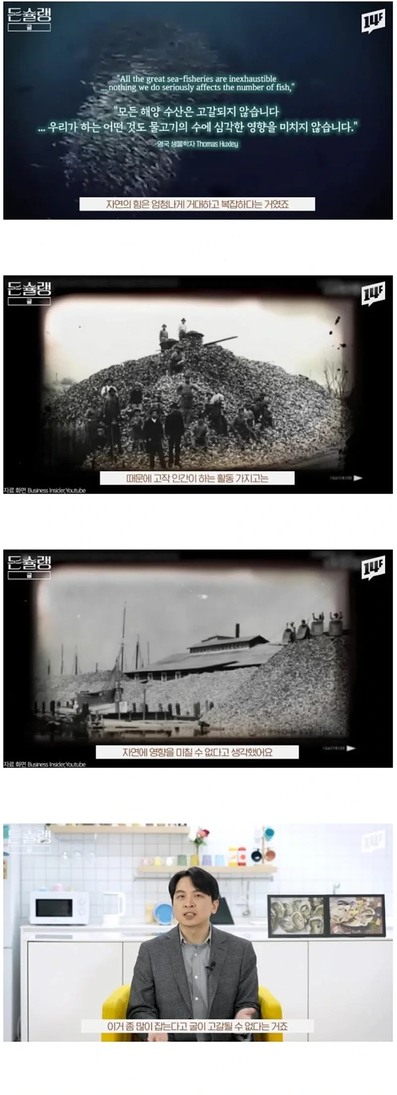 서양에서-굴-값이-비싼-진짜-이유-10-이미지