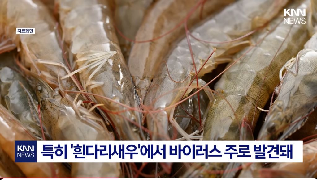 최근-확산중인-"중국발-미스테리-눈병"-2-이미지