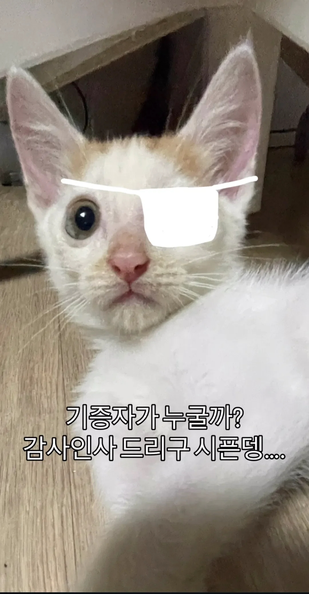 형아!-나-드디어-눈-기증-받게-됐대!-2-이미지