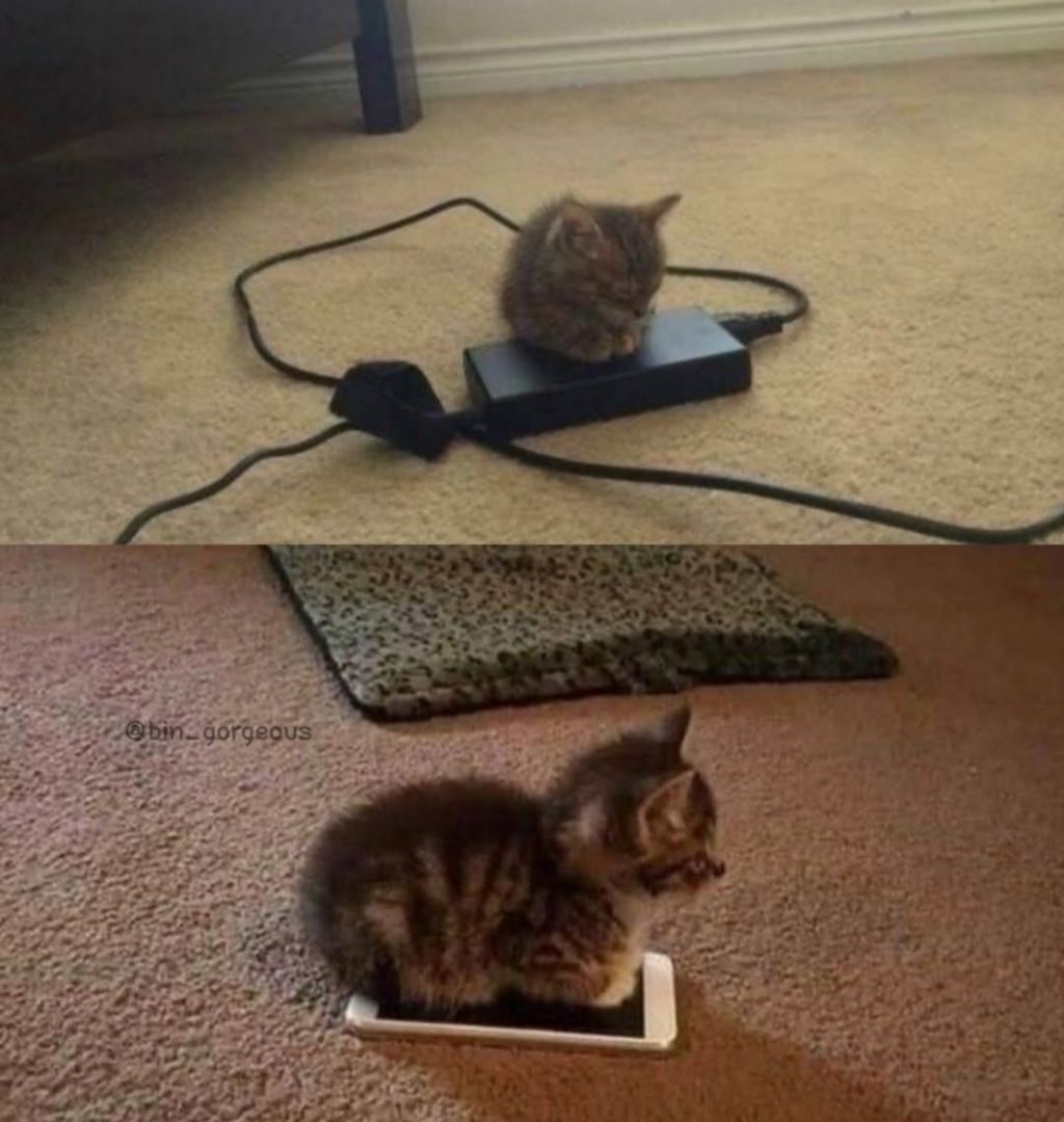 따뜻한-조랭이-떡.jpg-0-이미지