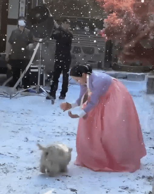 왜-북부대공들이-햇살여주한테-한눈에-반하는지-알겠다-twt-1-이미지