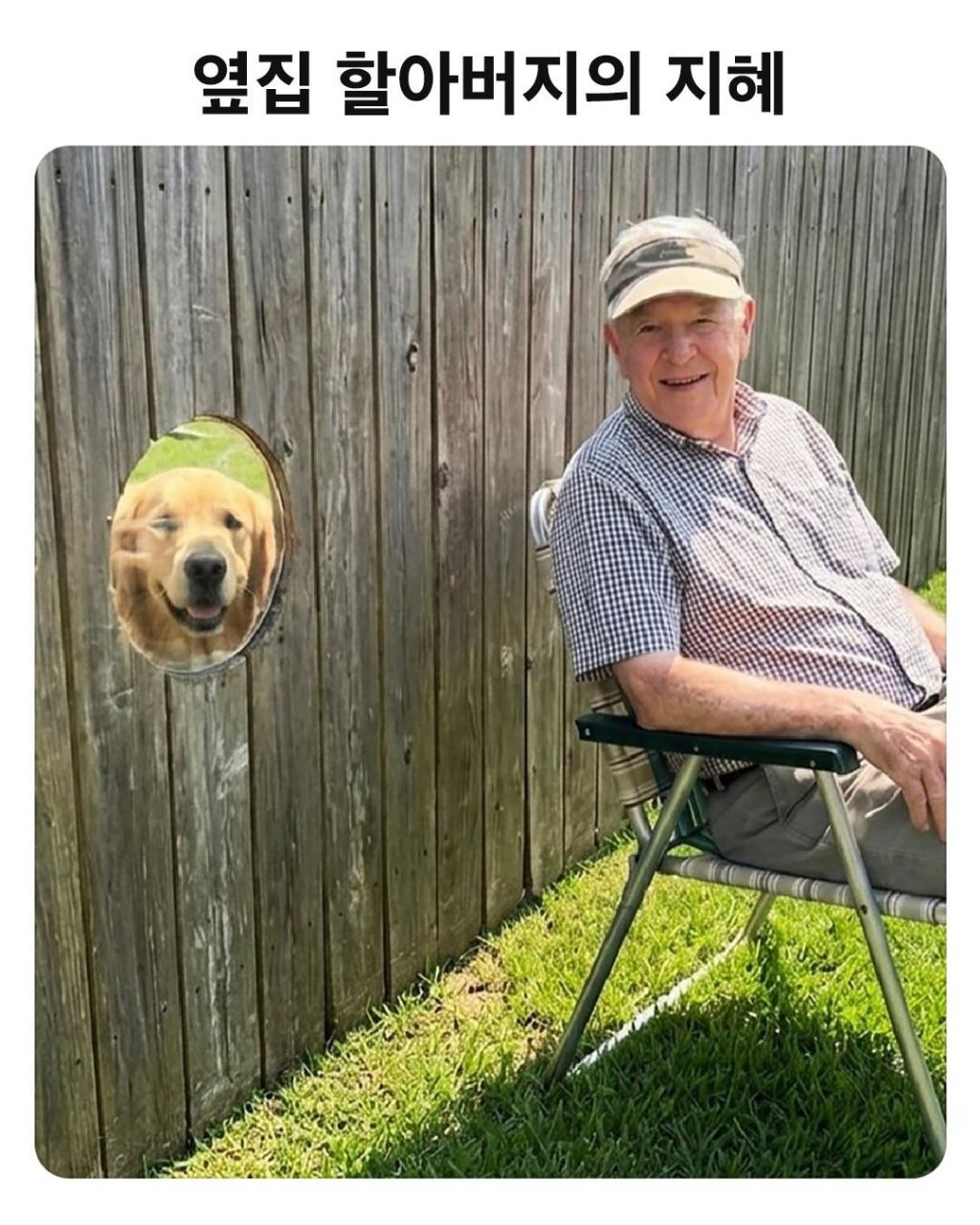마찰-말고-공생하는-방법을-찾은-할아버지-2-이미지