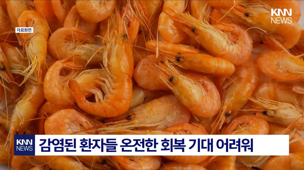 최근-확산중인-"중국발-미스테리-눈병"-4-이미지