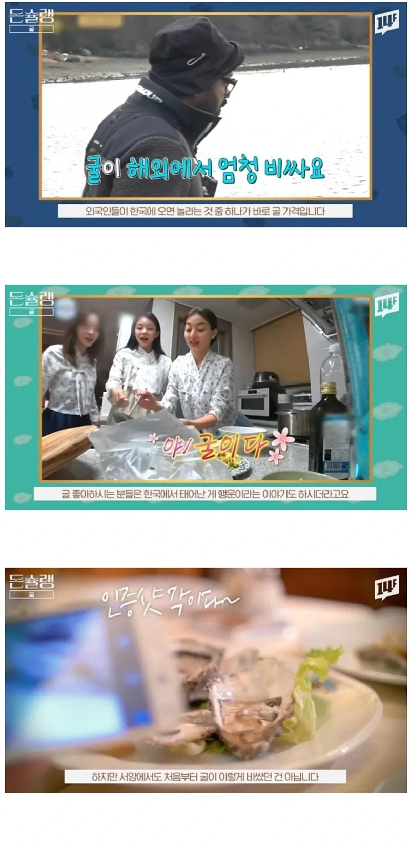 서양에서-굴-값이-비싼-진짜-이유-1-이미지