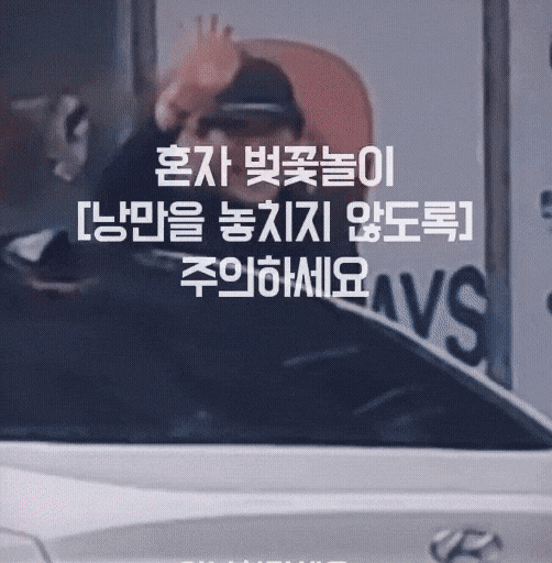 혼자-벚꽃놀이-주의하세요-5-이미지