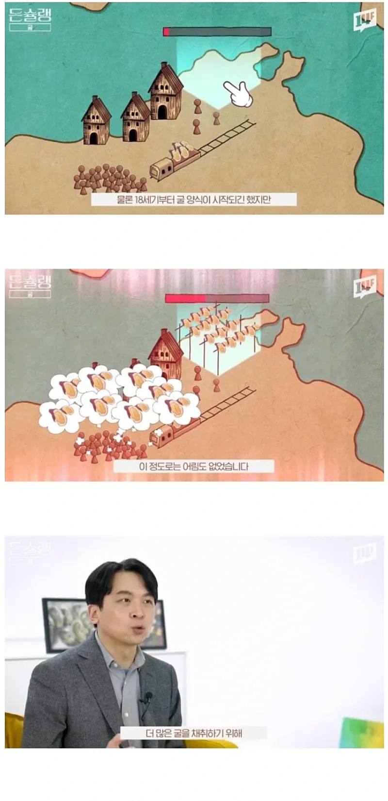 서양에서-굴-값이-비싼-진짜-이유-5-이미지