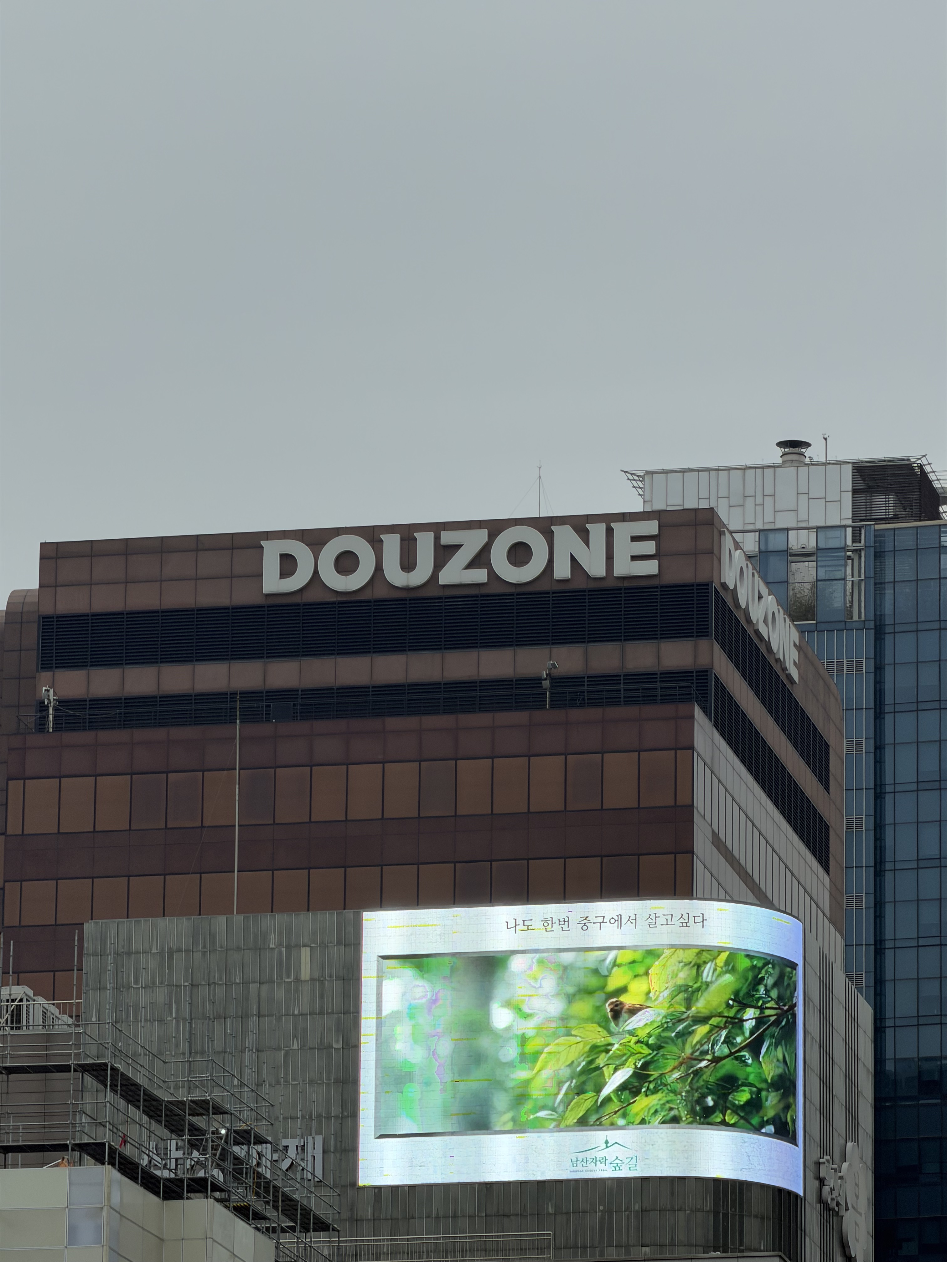 두쫀쿠가-돈이-되기는-하나봐..-이젠-건물도-있네-0-이미지