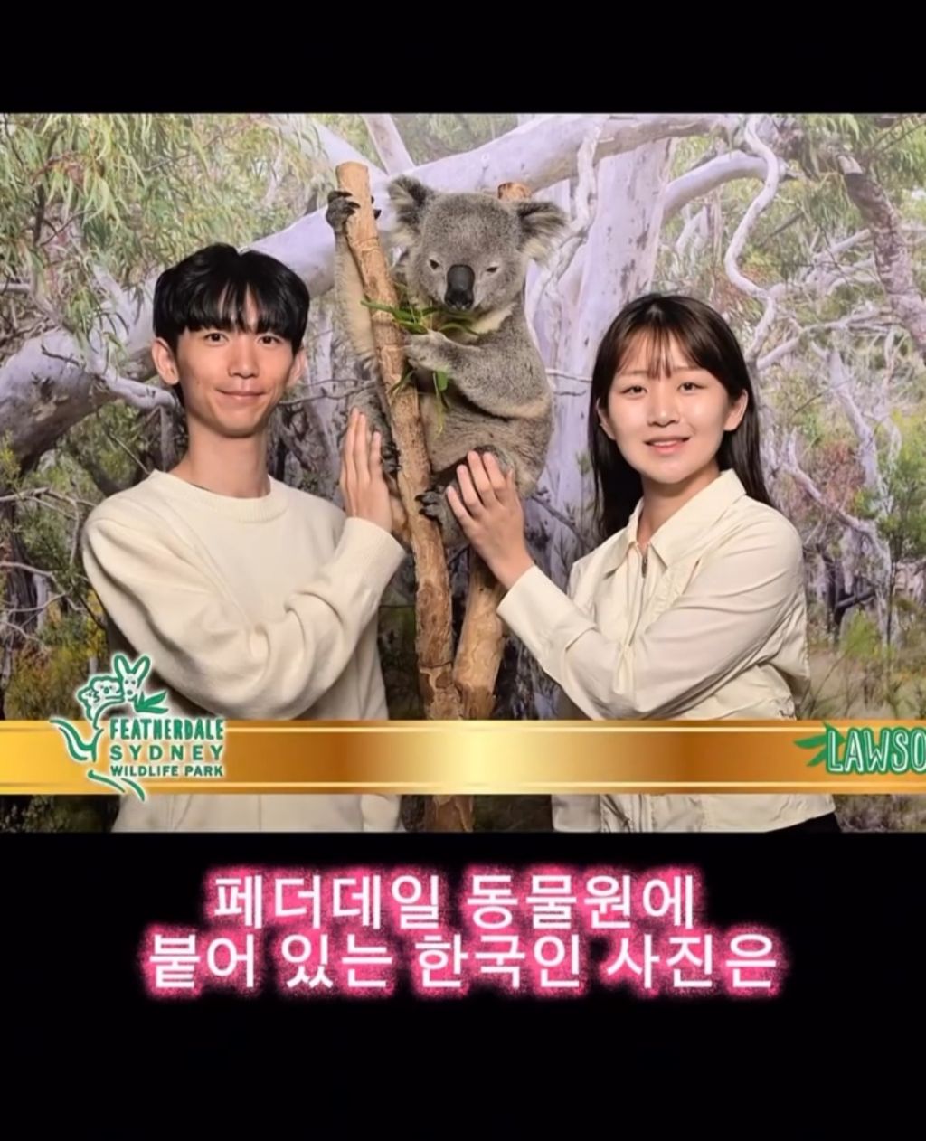 사진-공짜로찍고-호주-유명인사된-커플-0-이미지