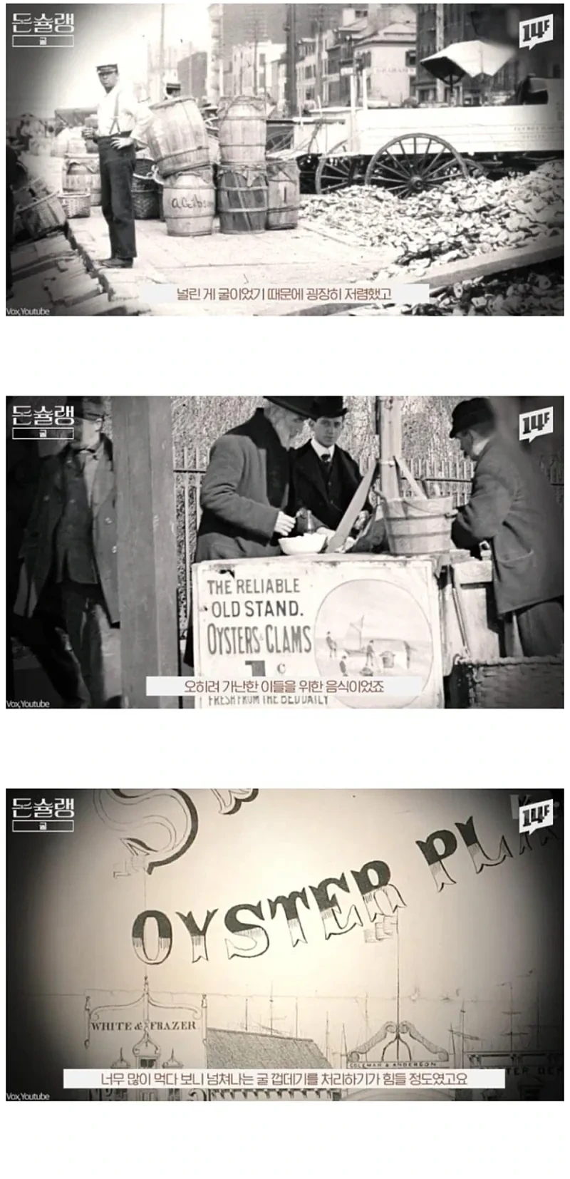 서양에서-굴-값이-비싼-진짜-이유-2-이미지