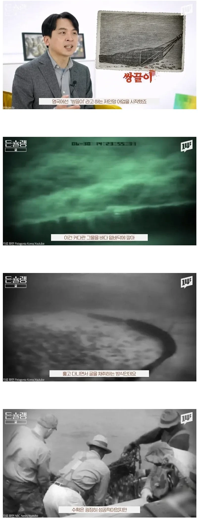 서양에서-굴-값이-비싼-진짜-이유-6-이미지