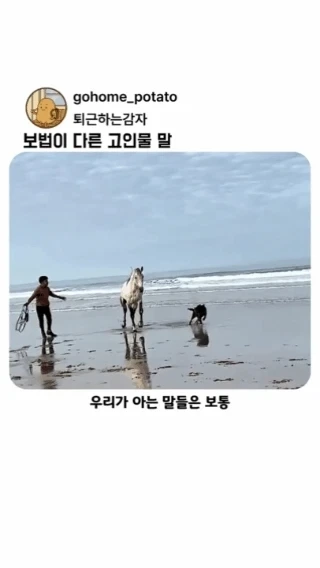 보법이-다른-고인물-말-.webp-0-이미지