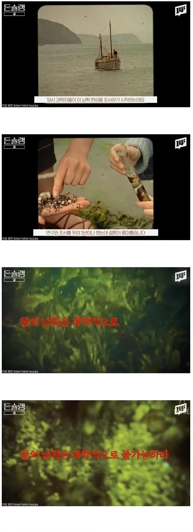 서양에서-굴-값이-비싼-진짜-이유-8-이미지