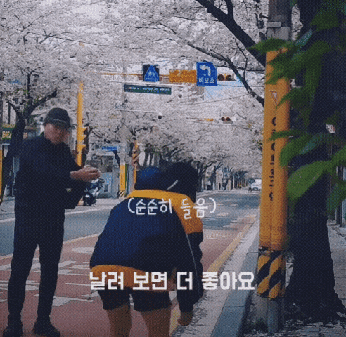 혼자-벚꽃놀이-주의하세요-2-이미지