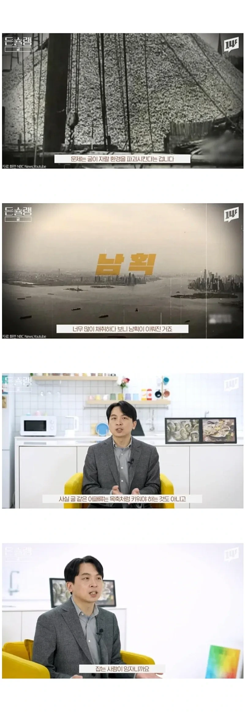 서양에서-굴-값이-비싼-진짜-이유-7-이미지