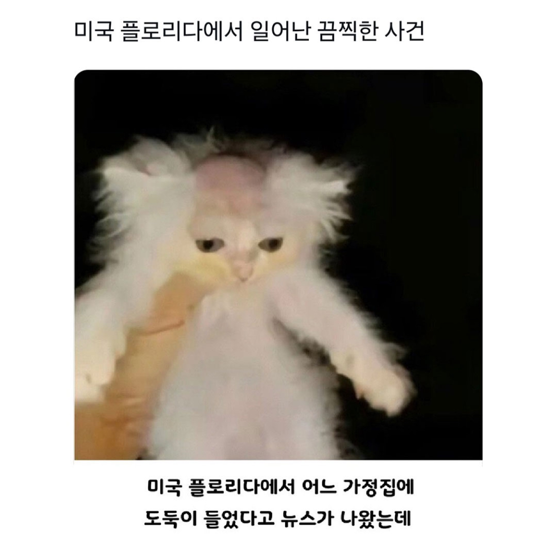 미국-어느-가정집에-도둑이-들었는데-1-이미지