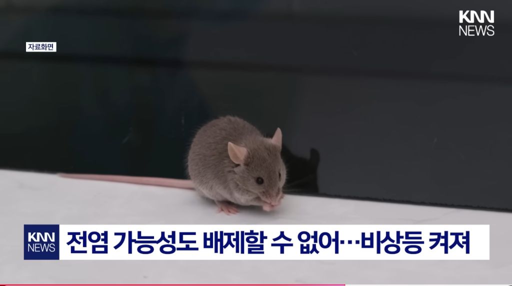 최근-확산중인-"중국발-미스테리-눈병"-5-이미지