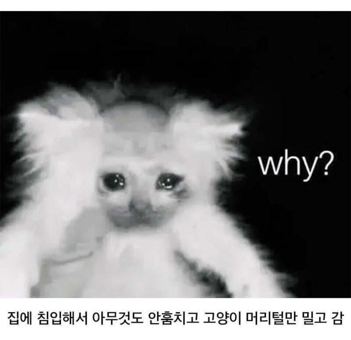 미국-어느-가정집에-도둑이-들었는데-2-이미지