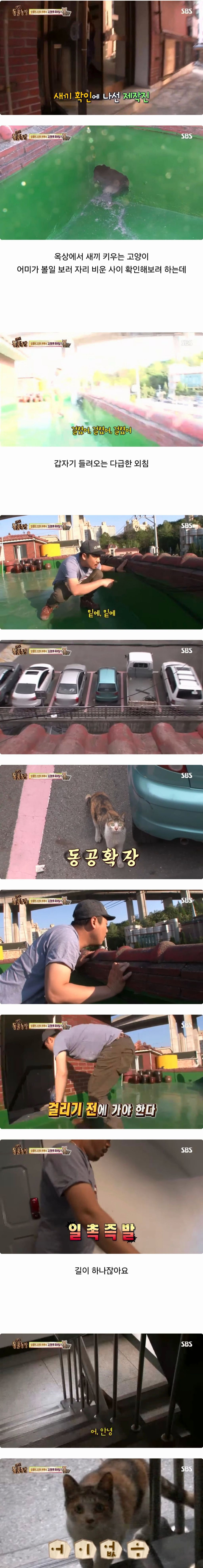 동물농장-레전드-새끼-확인하다-걸린-제작진.jpg-0-이미지