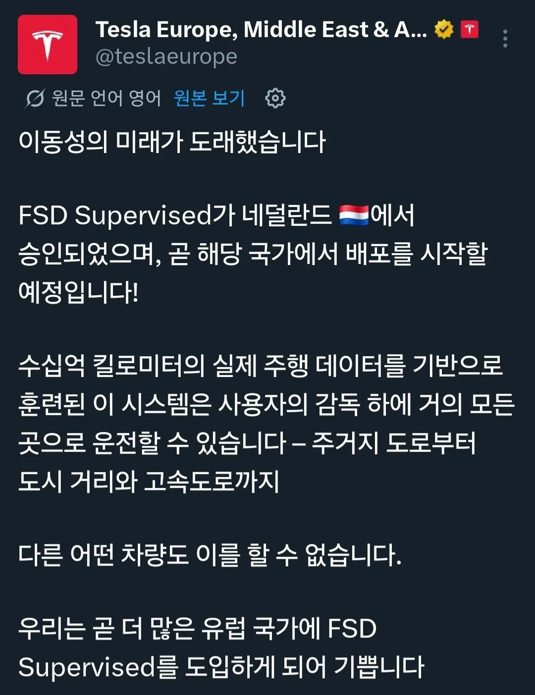 네덜란드-정부-테슬라-fsd-공식-승인-완료..-1-이미지