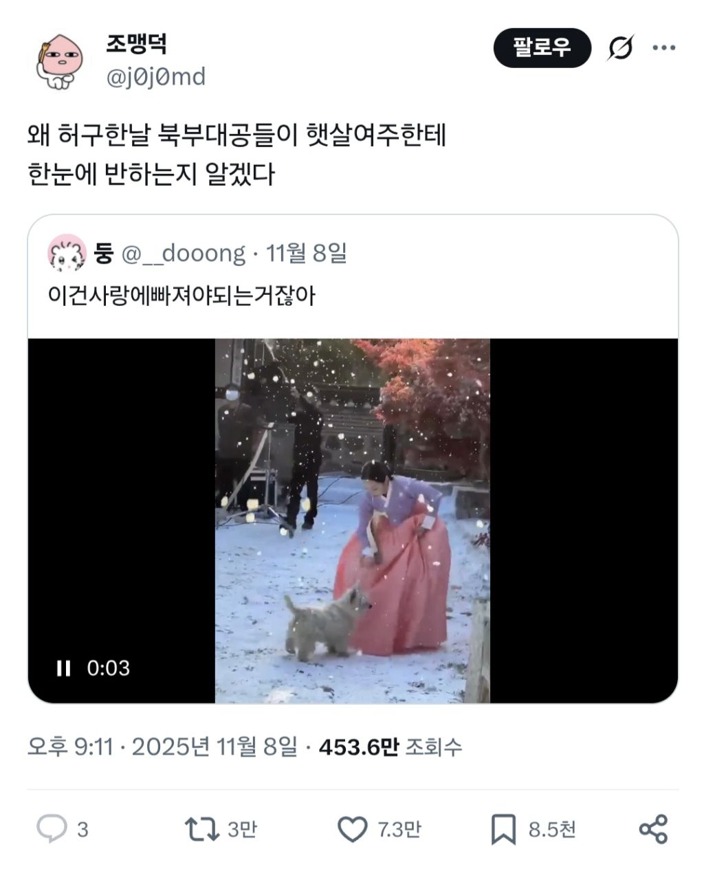 왜-북부대공들이-햇살여주한테-한눈에-반하는지-알겠다-twt-0-이미지