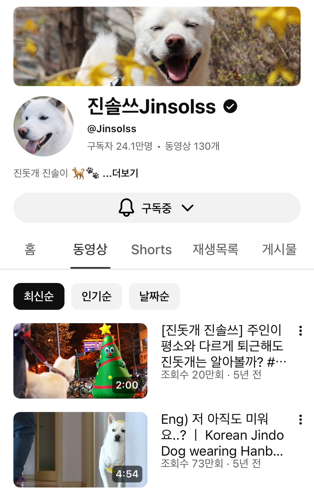 5년만에-근황-업데이트된-강아지-유튜브-진솔쓰-1-이미지