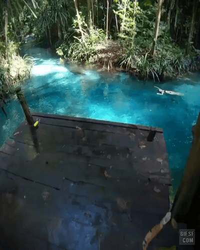 인도네시아-파푸아바랏-주-Kali-Biru-0-이미지