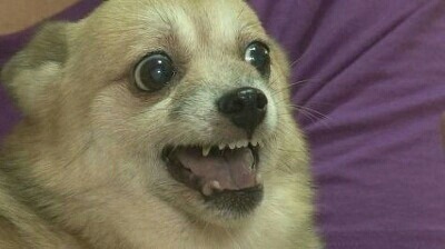 세상에-있는-모든-약을-사버리면?-2-이미지