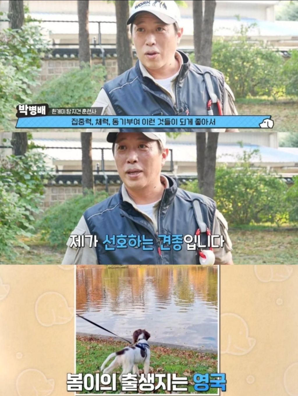 반려동물-출입금지인-경복궁에-나타난-댕댕이-8-이미지