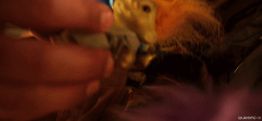 씨를-뿌렸다고-해서-아버지라고-할-순-없지.gif-8-이미지