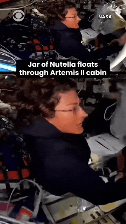 아르테미스-2호의-무사-귀환을-축하해주는-의문의-초콜릿-기업.jpg-1-이미지