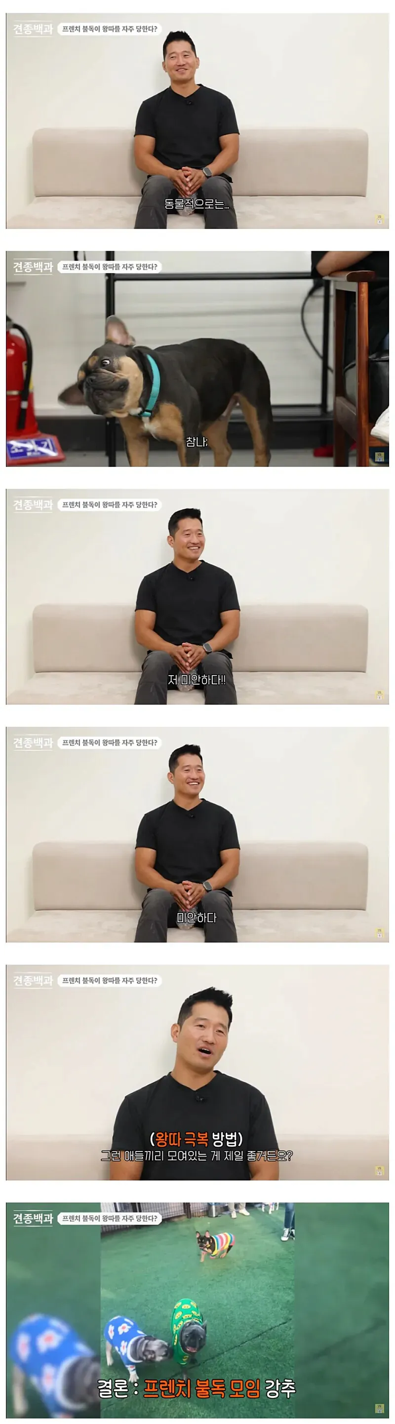 유독-왕따를-자주-당하는-견종-4-이미지