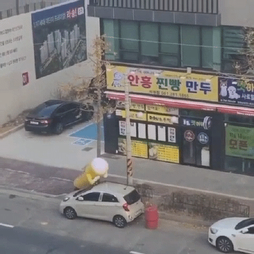 무료세차-모음-10-이미지