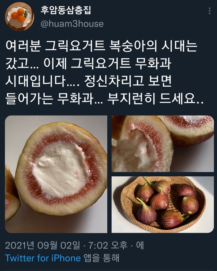 그릭복숭아는-가라.-그릭무화과가-왔다.-0-이미지