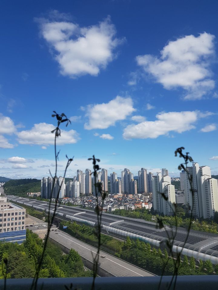 광교-신도시-풍경-11-이미지