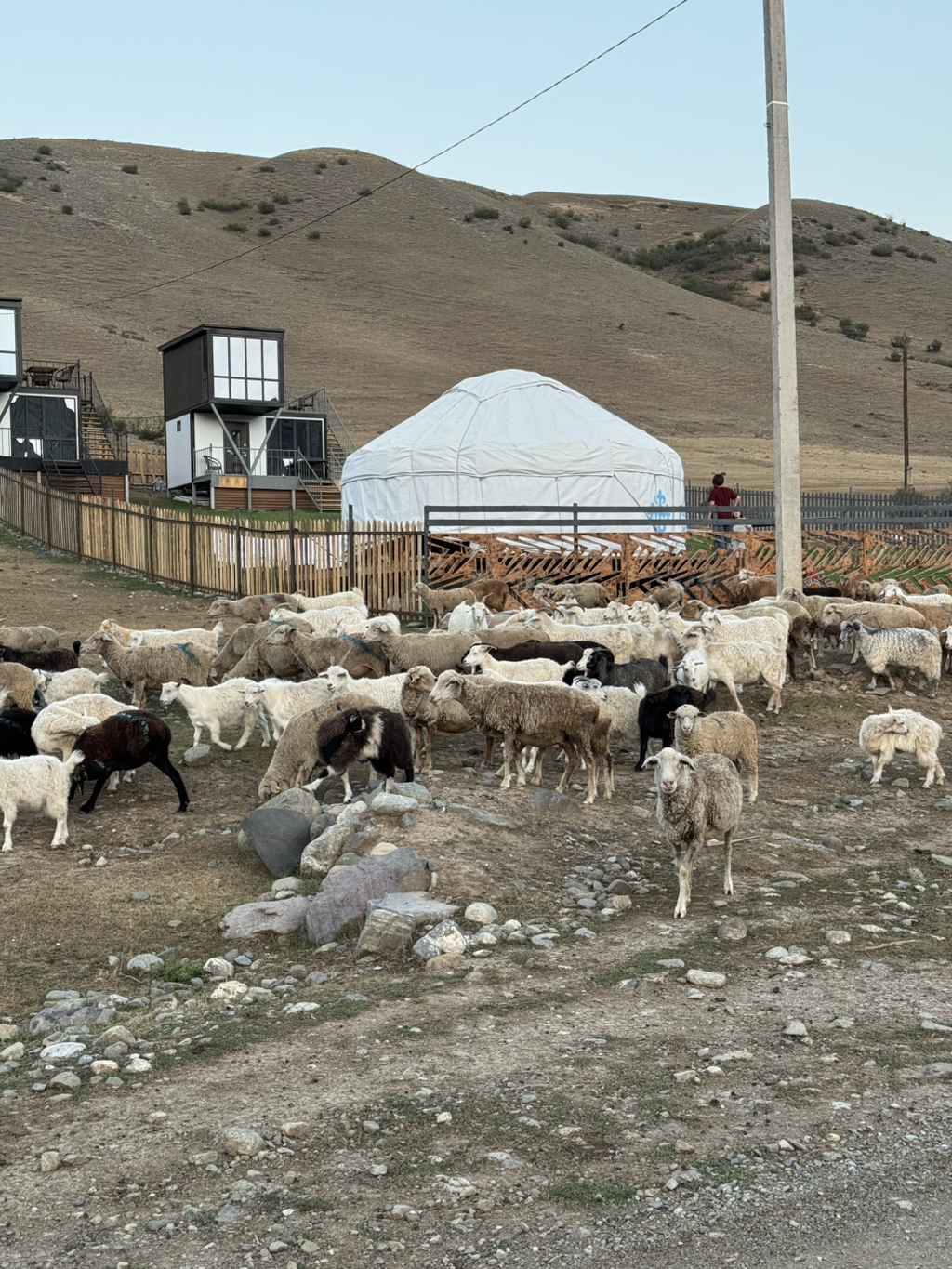 여자-혼자-카자흐스탄-알마티-여행-후기-12-이미지