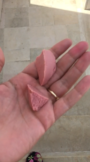 비건주인-때문에-강제-채식한-고양이들-0-이미지