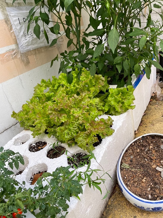 [KBO]-야구장-입구에-의문의-상자들이-생긴-이유-4-이미지