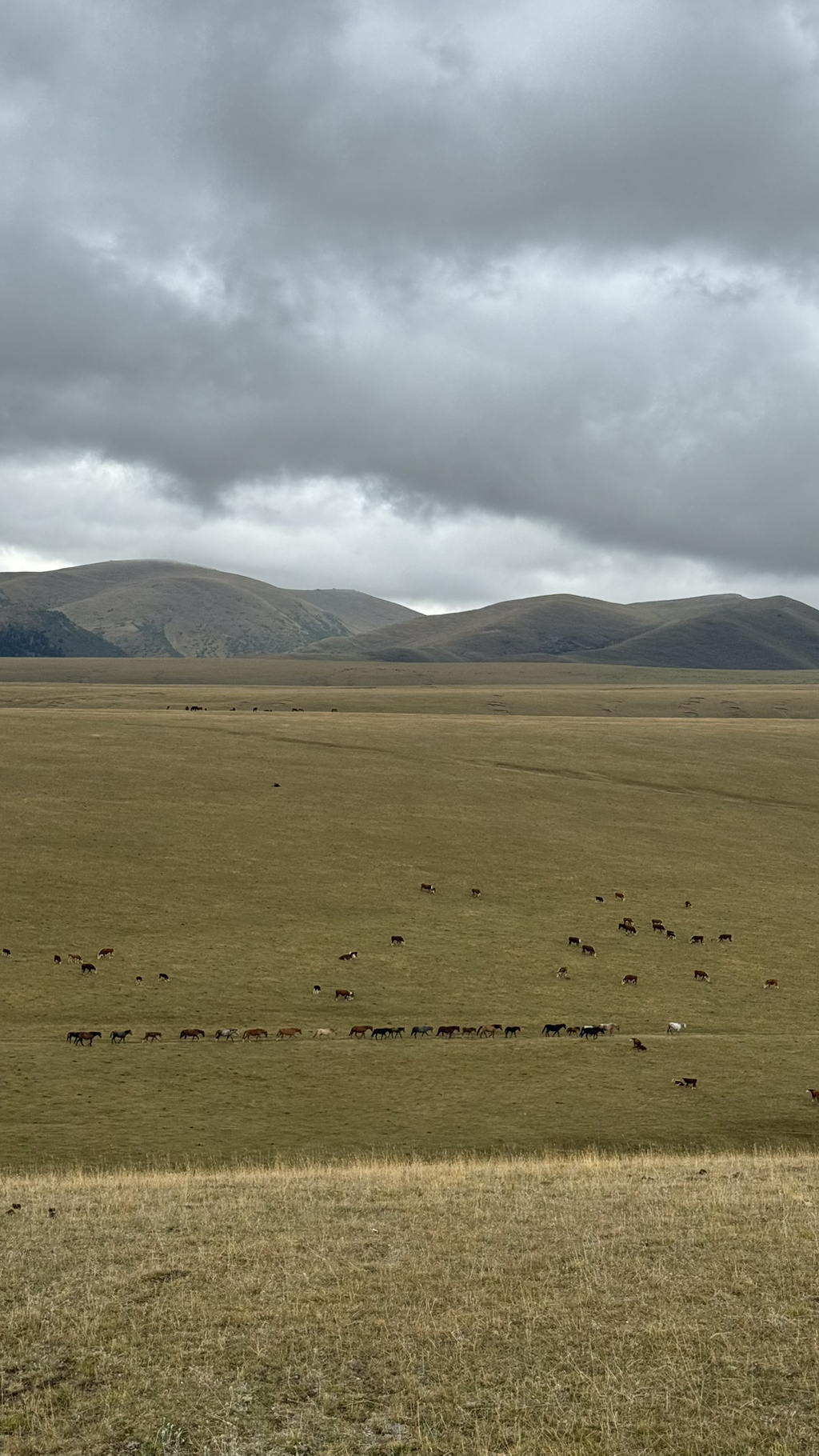 여자-혼자-카자흐스탄-알마티-여행-후기-37-이미지