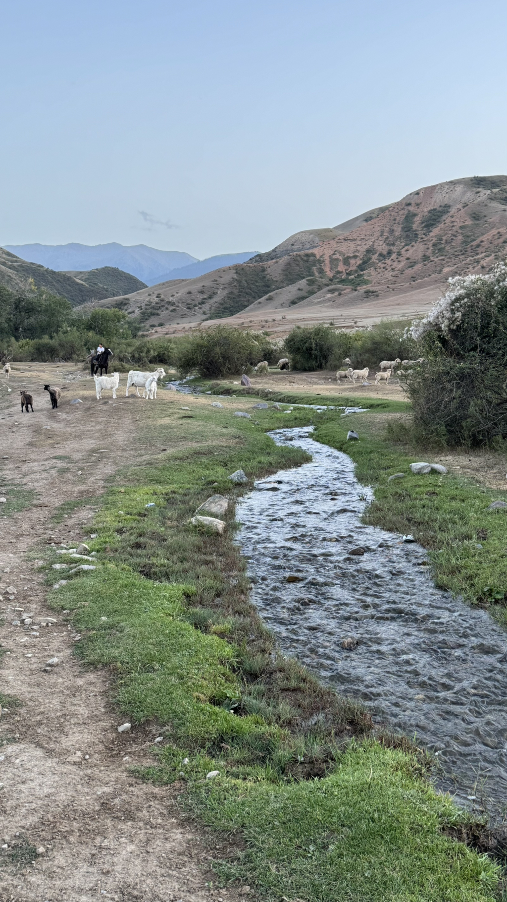 여자-혼자-카자흐스탄-알마티-여행-후기-13-이미지
