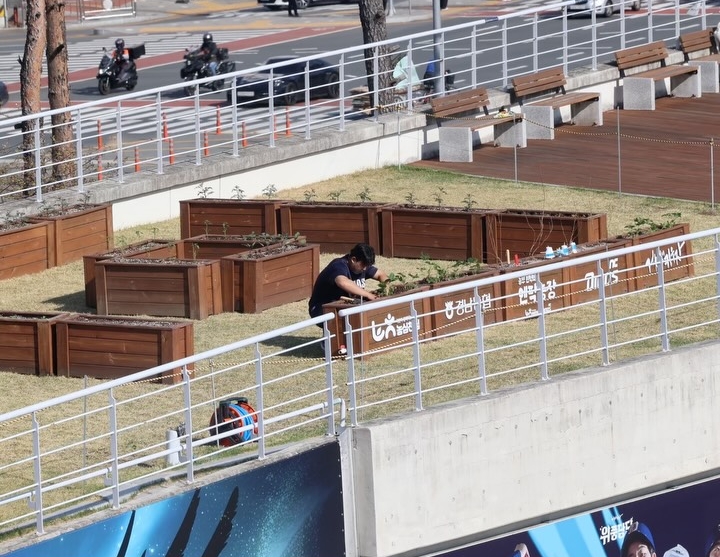 [KBO]-야구장-입구에-의문의-상자들이-생긴-이유-1-이미지